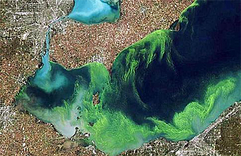 dws-water-alliance-akron-algae-lake-erie-satelite-350px