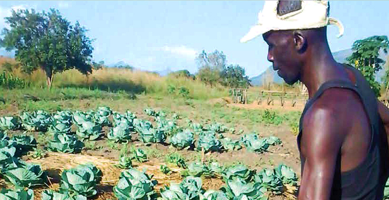 dws-waterchannel-webinar-farming-east-africa-farmer-770px