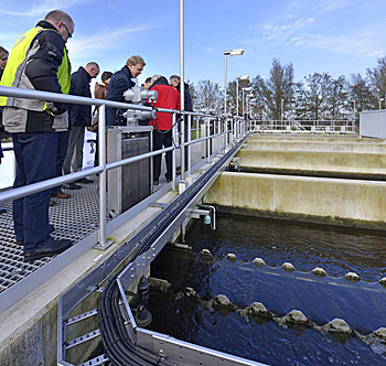 dws-waternet-horstermeer-1-step-compartment-350px