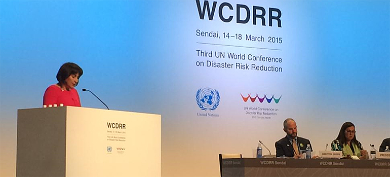 dws-wcdrr-nl-statement-ploumen-770px