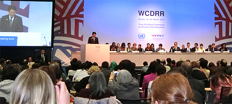 dws-wcdrr-plenary-general-770px