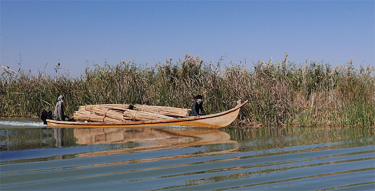 dws-wertlands-irak-iran-marshes-770px-1