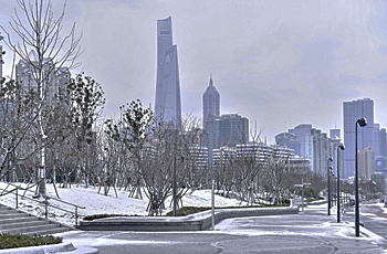 dws-west8-xinhua-park-shanghai-snow-skyline-350px