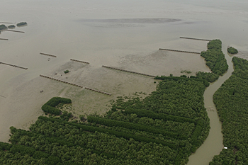 dws-wetlands-germanu-demak-aerial-350px