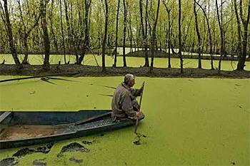 dws-wetlands-hoffman-awardkashmirr-350px