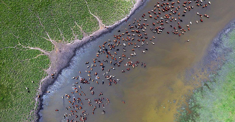 dws-wetlands-mongolia-aerial-adb-770px-1