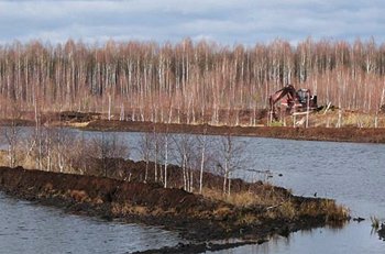 dws-wetlands-peatland-russia-woods-350px