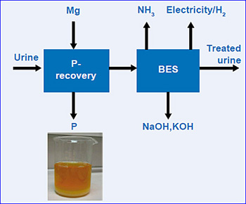 dws-wetsus-kic-raw-materials-p-recovery-scheme-350px