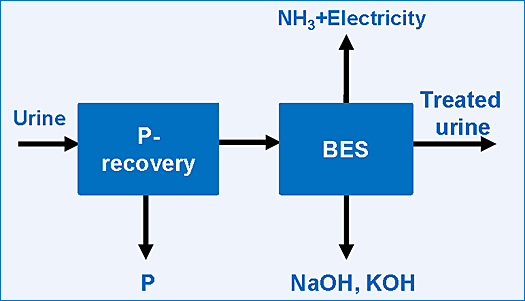 dws-wetsus-urine-pilot-scheme-525px