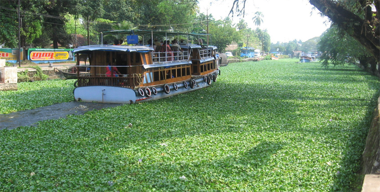 dws-wibo-alappuzha-canal-boat-770px