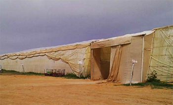 dws-wur-agadir-traditional-greenhouse-350px