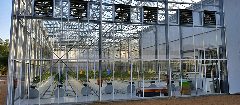dws-wur-horticulture-research-centre-abu-dhabi-770px