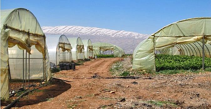 dws-wur-libanon-green-houses-690px