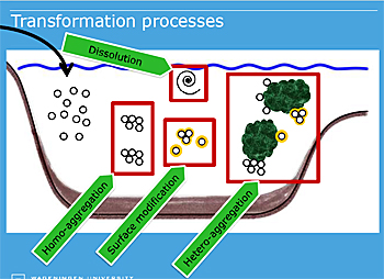 dws-wur-nanoduflow-transformation-scheme-350px