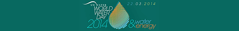 dws-wwd2014-logo-770px
