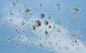 Coronavirus