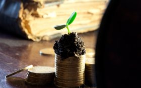Growing money illustrating financing session at Stockholm Water Week