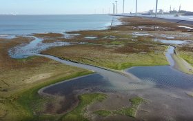 New created coastal foreland as flood prevention at Delfzijl, the Netherlands