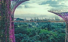 Walkway between super trees, Singapore