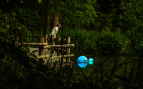 POND at Rotterdam Zoo. Photo: Nova Innova