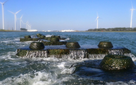 Reef in action with Famous Maeslantkering on the backdrop. Photo: Reefy