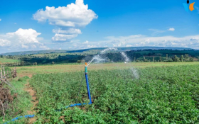 Irrigation system in Burundi, part of the Private Seed Sector Development (PSSD) project. Photo: Jimbere Magazine