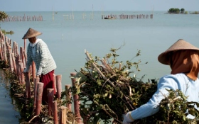 Construction of permeable structures. Photo credits Nanang Sujana