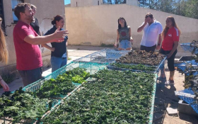 People looking at the sea weed project. Photo cretidts: LAN Cono Sur