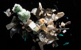 dws-deltares-mictroplastics-770px dws-deltares-mictroplastics-770px