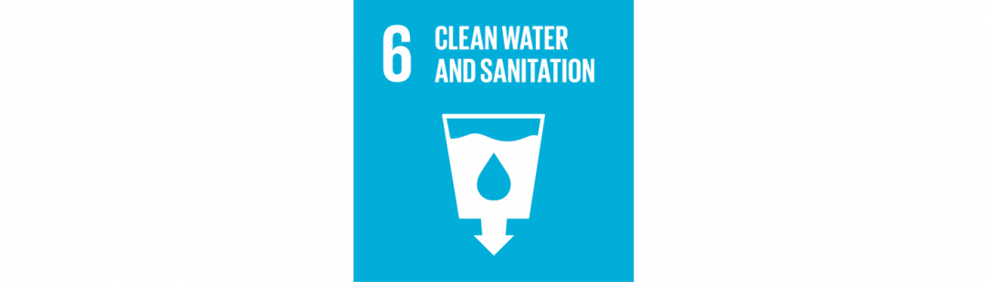 Logo SDG6