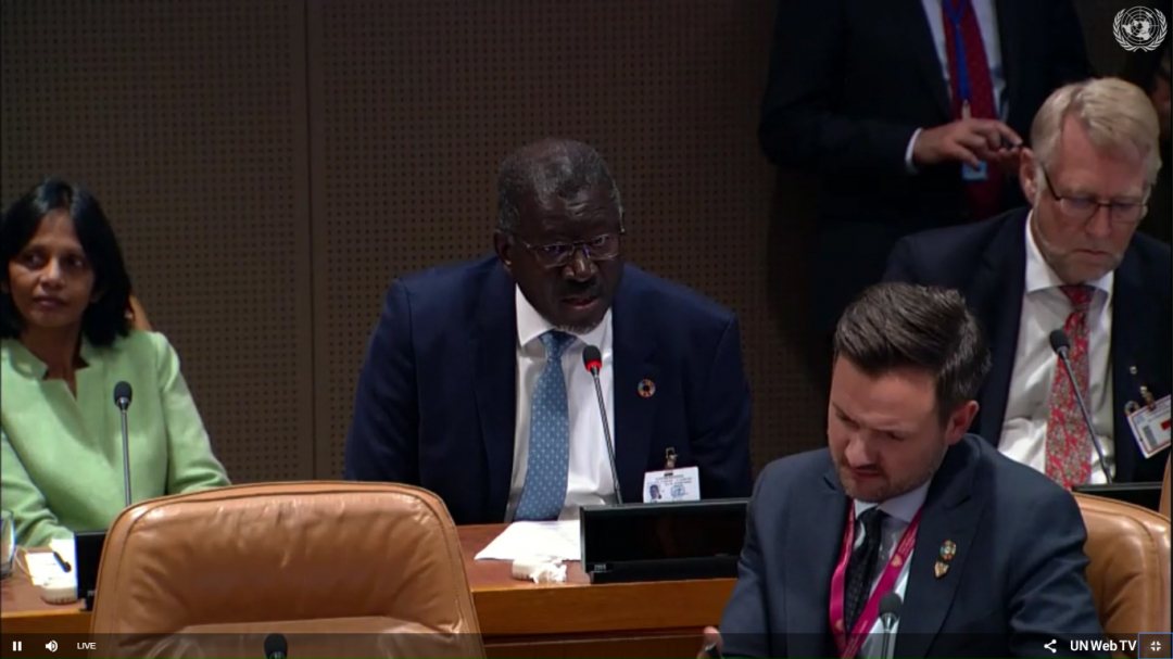 Secretary-general Elhadj As Sy of Red Cross at launch year of action on adaptation at UN headquarters