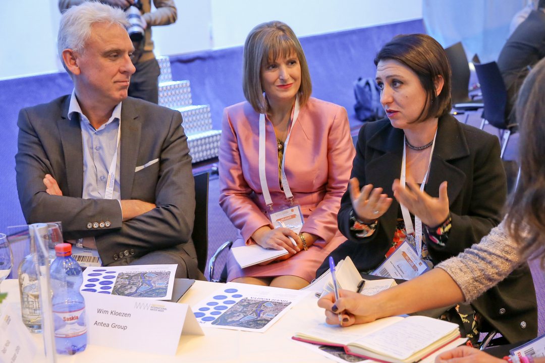 Discussions at the AIWW Conference 2017