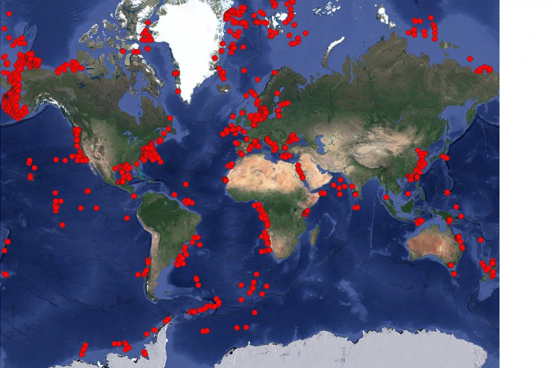 Global map of all samplings of ocean floor on sediment community oxygen consumption. (Credits: Tanja Stratmann, NIOZ)