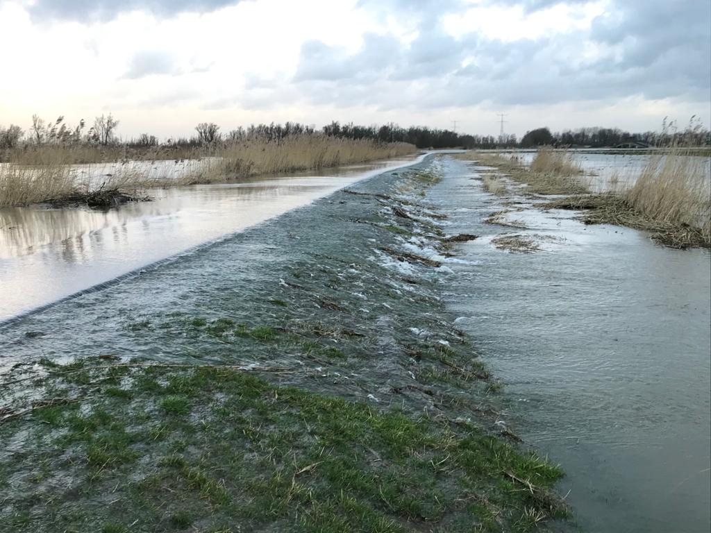 River Rhine overtops the threshold at the Noordwaard polder