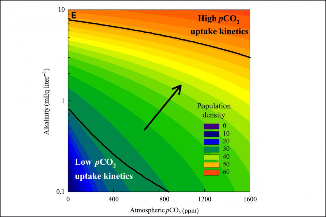 Different density cyanobacteria population in water at low and high CO2-levels