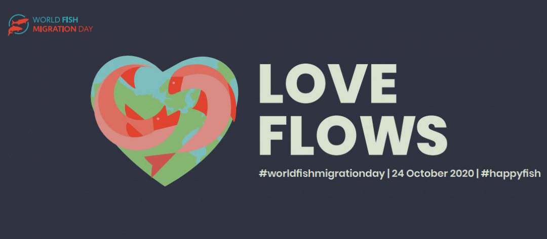 Logo World fish migration day 2020 new