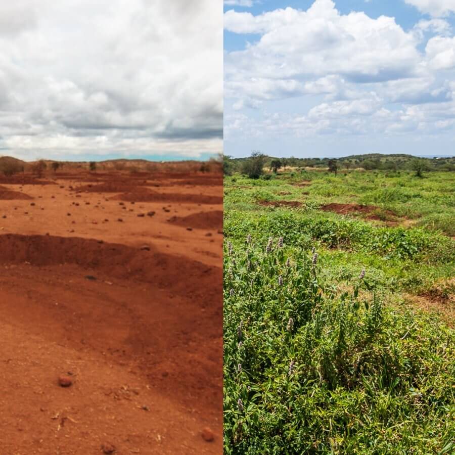 Lanscape before and after digging bunds in Kenya.
