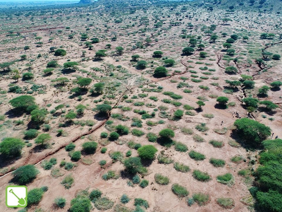 5,000 bunds in the gorund to catch rain water