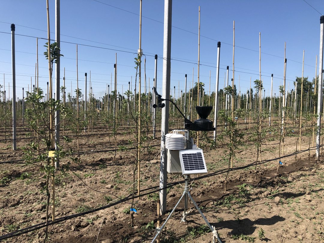 Wolky Tolky metering station for monitoring the rain fall, temperature, wind and soil moisture.