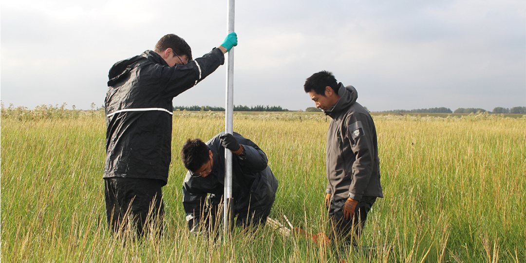 Field work by researchers studying the role of coastal salt marshes in reducing flood risks.