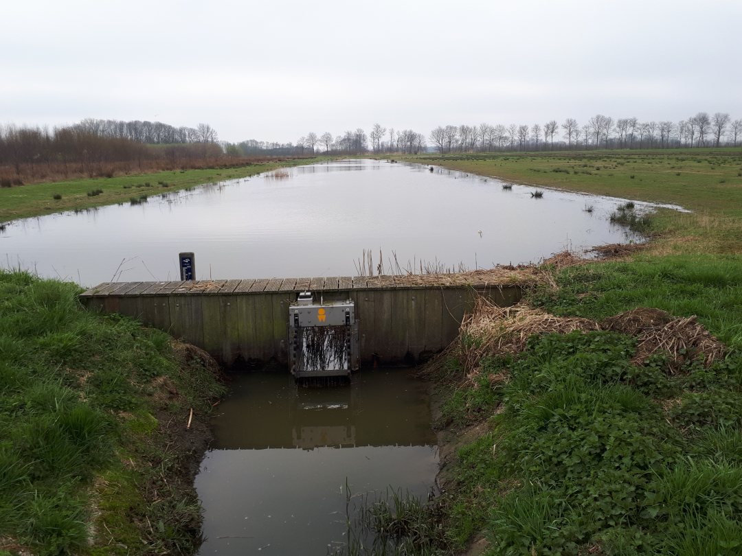 Dutch weir to regulate water levels