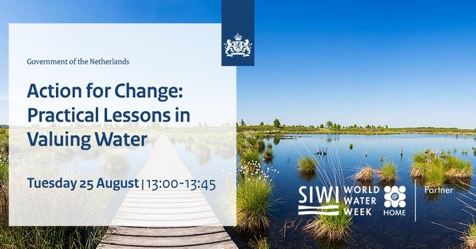 Poster that announced the session on valuing water during the Stockholm world water week 2020 at home