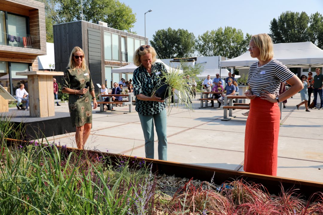 Official opening of Hitteplein (heat square) at campus of Delft University of Technology (photo: Wink-Photography NL)