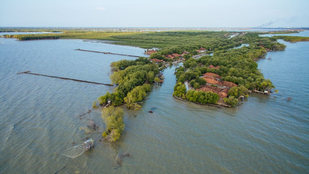 Mud sediment traps along the Northern coast of Java, Indonesia