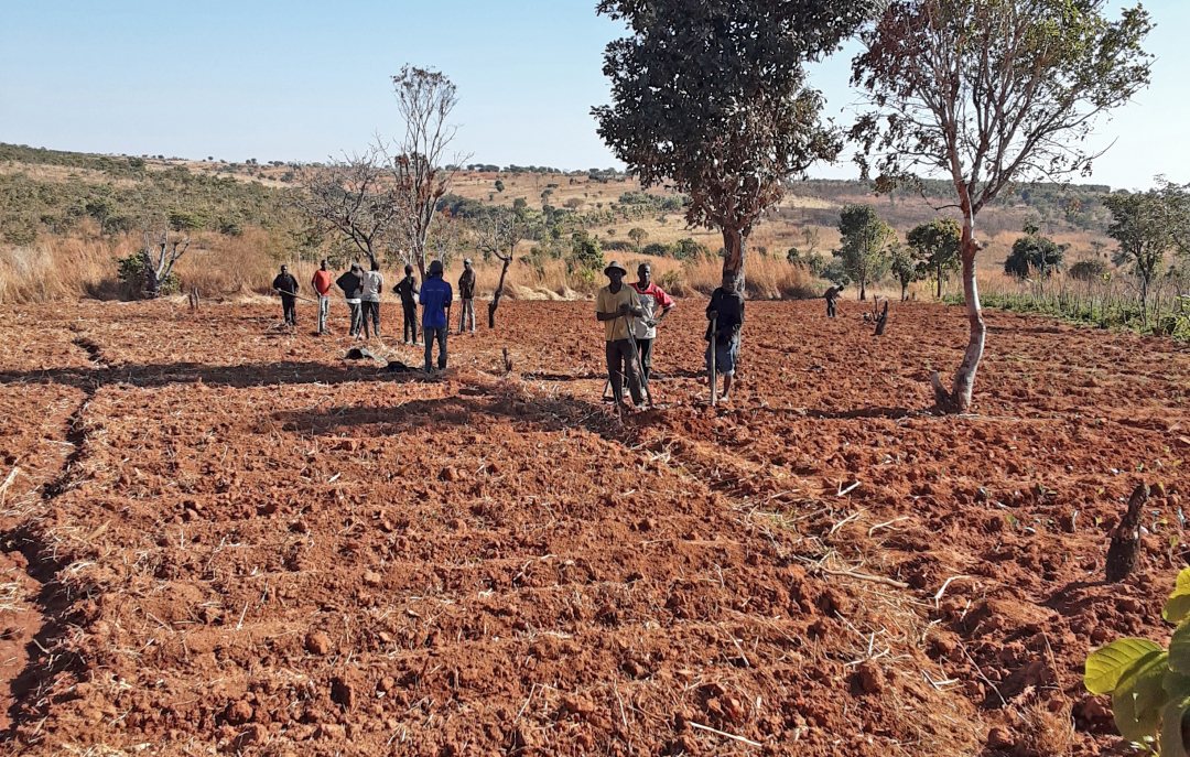 Angolan farmers that use satellite data for more efficient irrigation of their crops