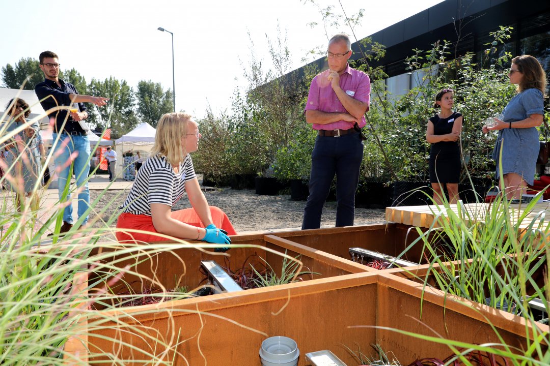 Bluebloqs's facility at Green Village to test biofiltration of run off water