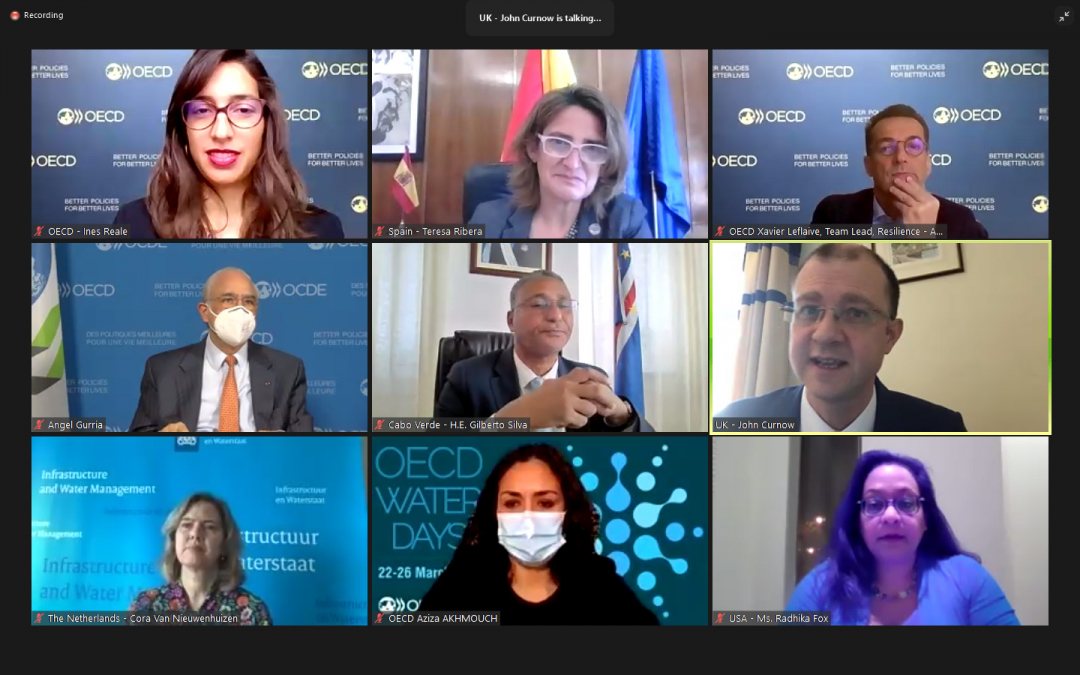Full panel that participated in first session of the OECD Water Days 2021