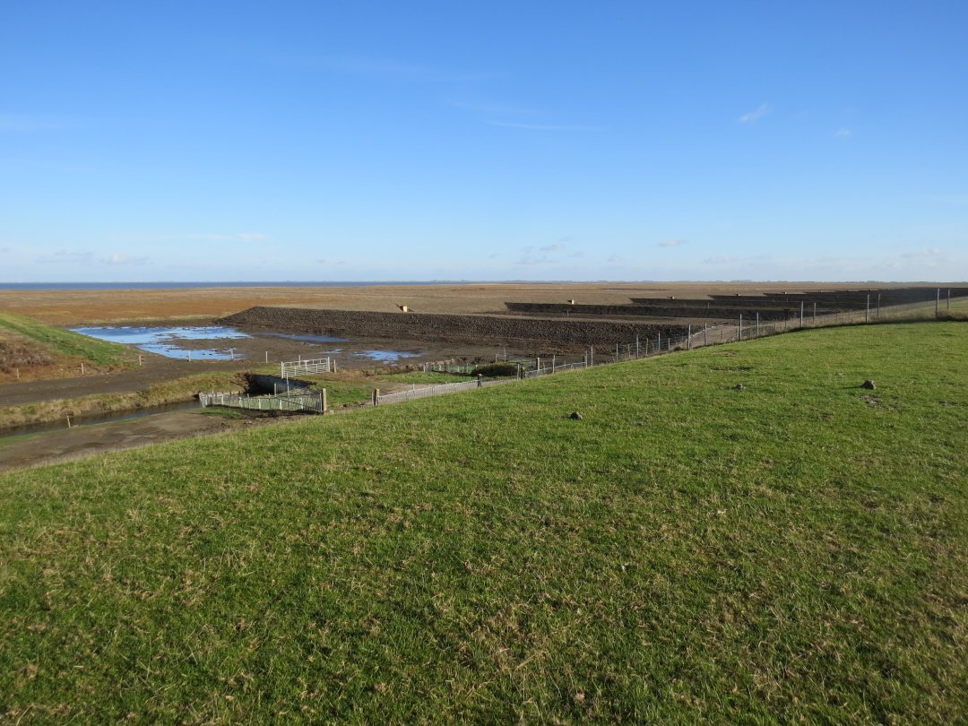 Levee along Eems-Dollard estuary, the Netherlands, where clay rich sediment is collected to create foreland