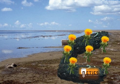Geowall blocks by Netics to restore the landscape around the Aral Sea