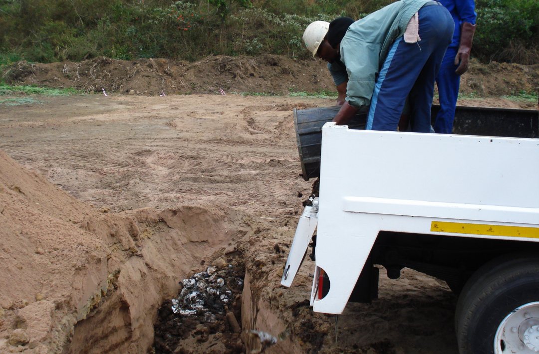 Deep row entrenchment of faecal sludge for agroforestry
